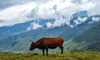 Day 6: Hohhot Arrival