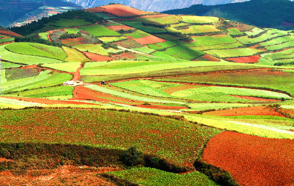 Day 3: Dongchuan – Kunming