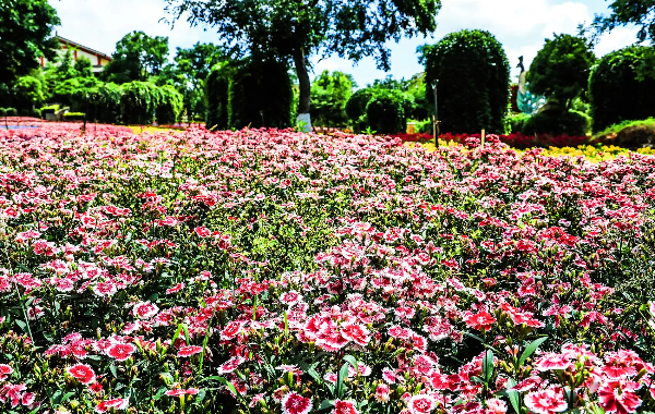 Day 1: Arrival in Kunming