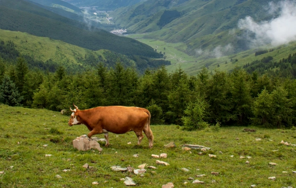 日 4:Linfen - Taiyuan