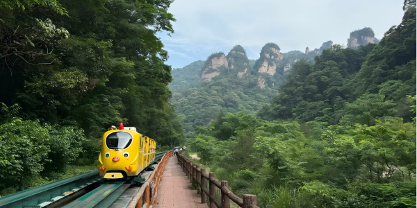 Day 6：Zhangjiajie Departure