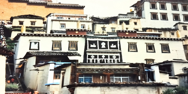 4日目:シャングリラ