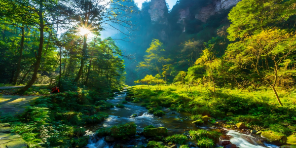 Giorno 6:Zhangjiajie