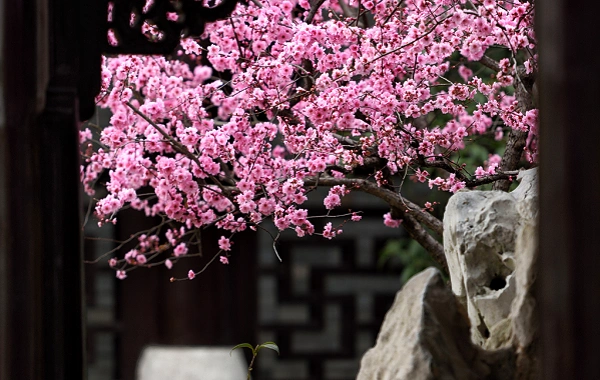 Day 4: Jianshui - Yuanyang