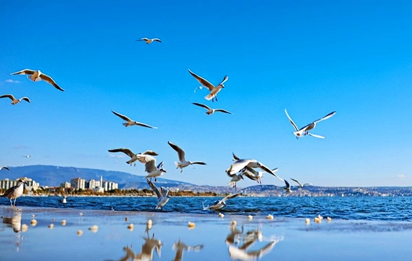 Day 6: Yuanyang - Kunming