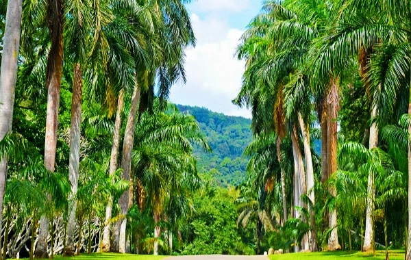 Day 3: Xishuangbanna