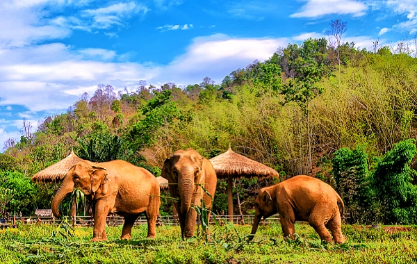 Day 4: Xishuangbanna