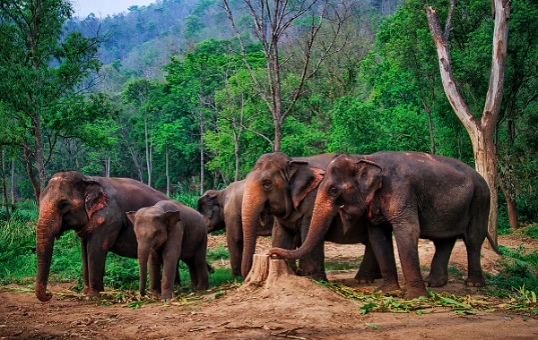 Day 4: Xishuangbanna
