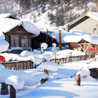 9 Days Shenyang Dalian Changchun Harbin Ice & Snow Tour