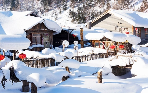 Day 1: Harbin Arrival