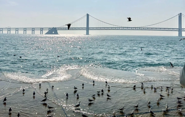 Day 5: Dalian - Changchun