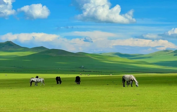 Day 5: Hailar-- Manzhouli