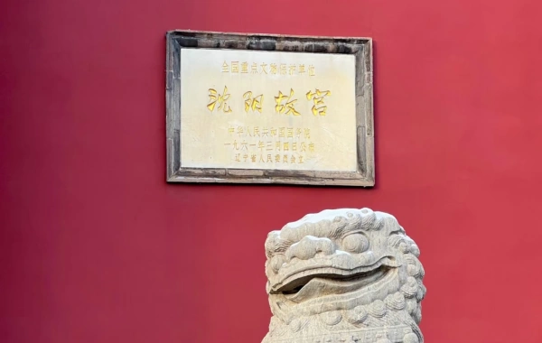 Day 6: Shenyang Departure