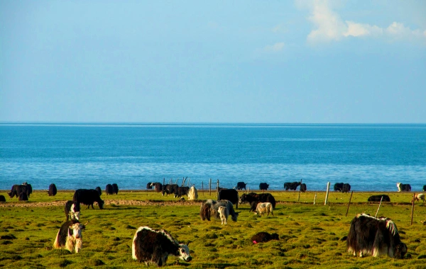 Giorno 2: Riyue Mountain - Qinghai Lake