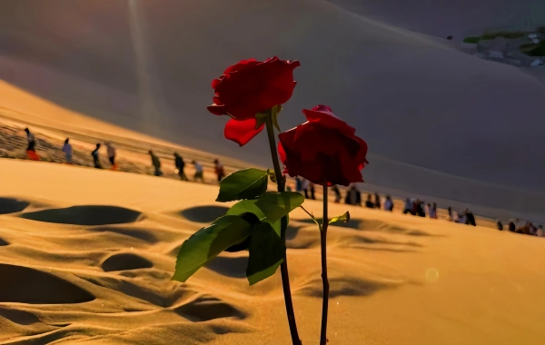 اليوم السادس: دونهوانغ - جيايو باس