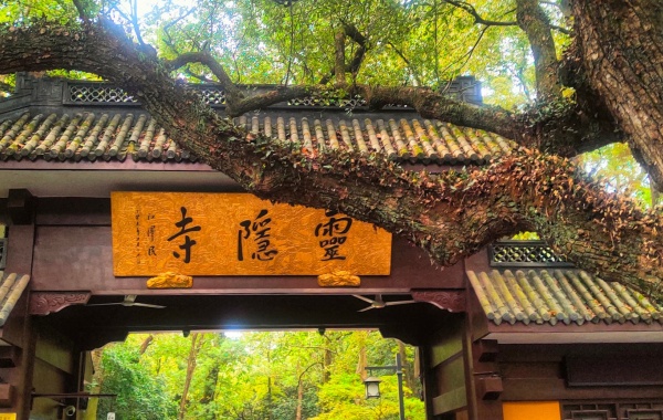 Day 1: Hangzhou Arrival