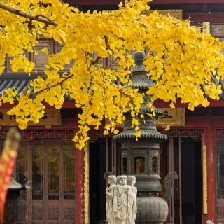 7 Days Chengdu Leshan & Chongqing Cultural & Natural Tour