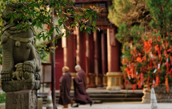 День 3: Чэнду - Лешан