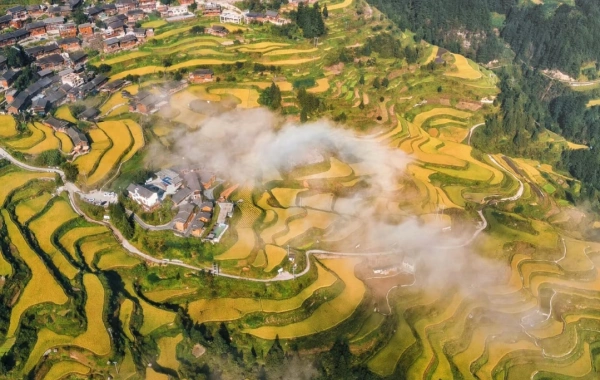 Day 3: Anshun - Kaili (B, L)