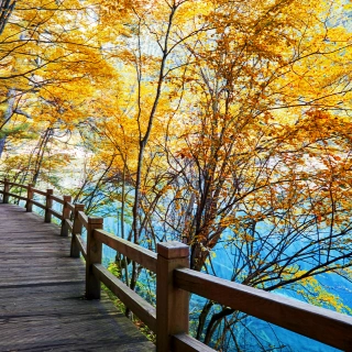 High Speed Rail Jiuzhaigou&Huanglong Tour