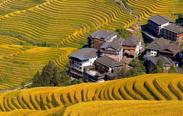 일 4: 양수오 -- 롱 sheng 