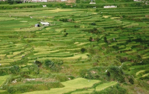 일 8: Rongjiang -- 칼리 