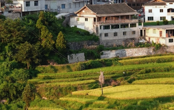 일 8: Rongjiang -- 칼리 