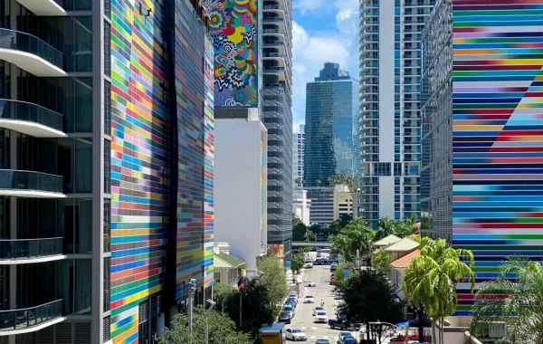 1 Day Shenzhen City Tour