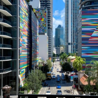 1 Day Shenzhen City Tour