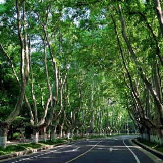 3 Days Nanjing Historical and Cultural Tour