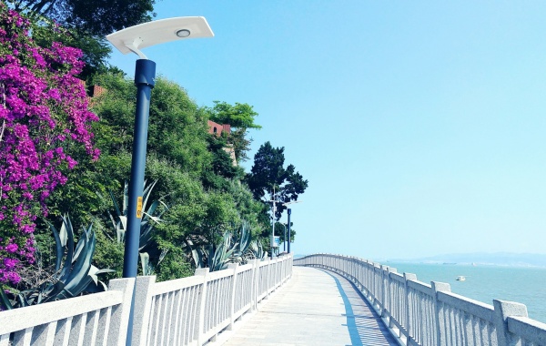 Day 1: Xiamen Arrival