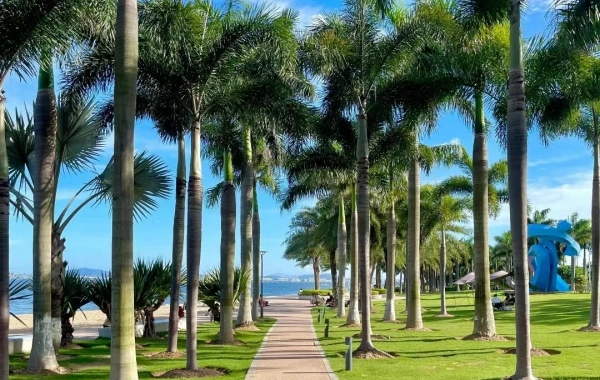 День 4: Сямэнь