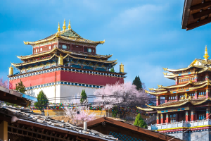 Shangri-La and Lijiang Purification Tour