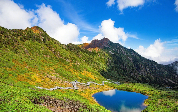 1 Day Dali In-Depth Tour