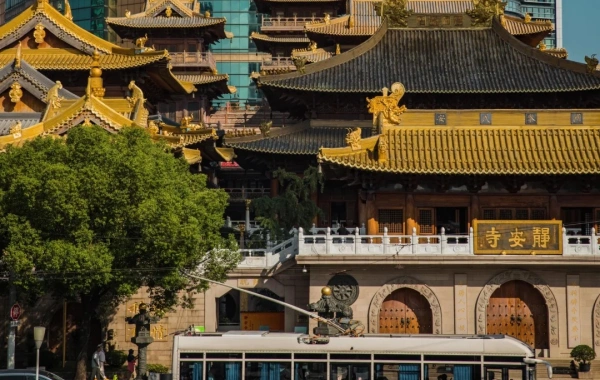 اليوم الرابع: شنغهاي