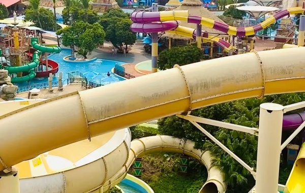 Day 6: Shenzhen Departure