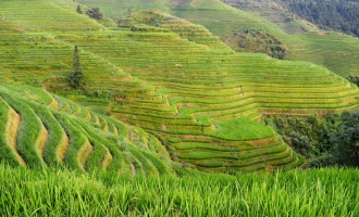 Día 4: Salida de Guilin