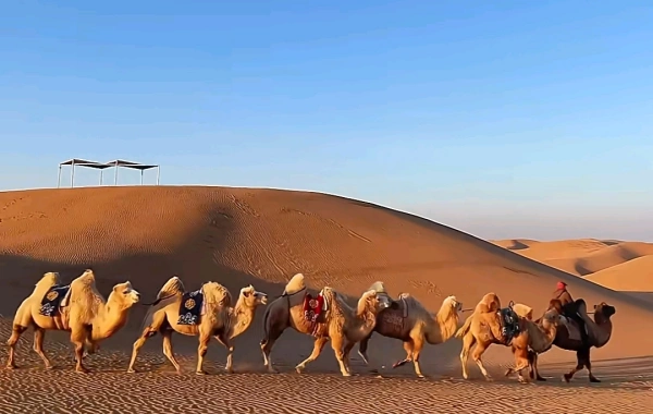 第9日目:ホーホート出発