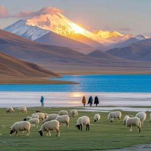 Three-Day In-depth Tour in Lhasa