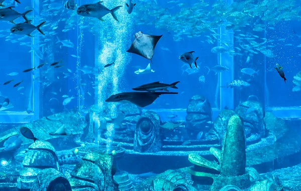 Day 5: Sanya (without guide)