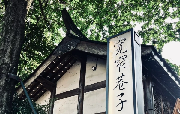 Day 4: Guizhou -- Chengdu (by bullet train)