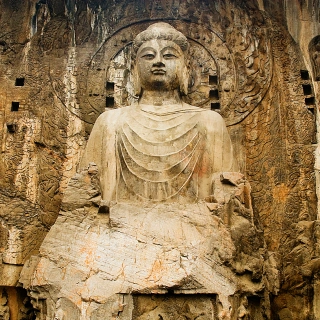 1 Day Longmen Grottoes & Shaolin Temple Cultural Tour