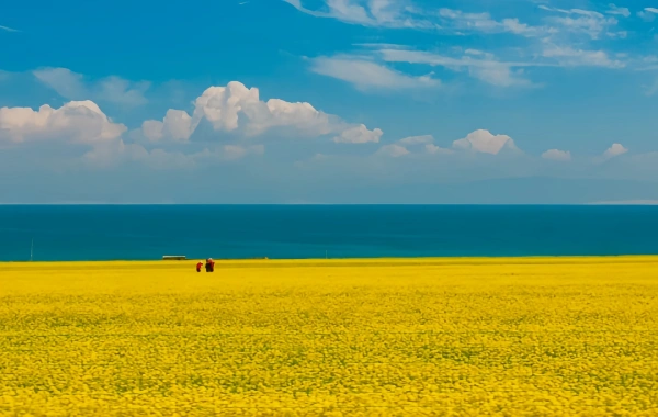 Day 1: Qinghai Arrival