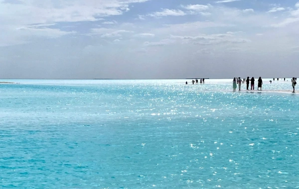 Day 4: Qinghai--Gansu