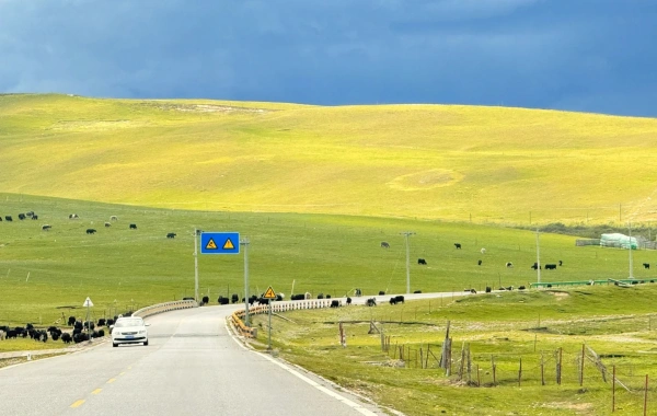 Day 8: Qinghai Departure