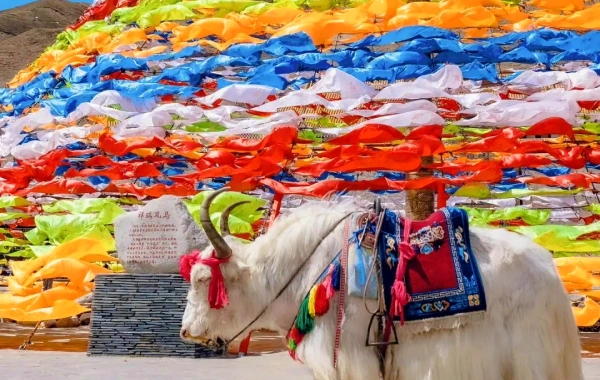 Day 8: Qinghai Departure