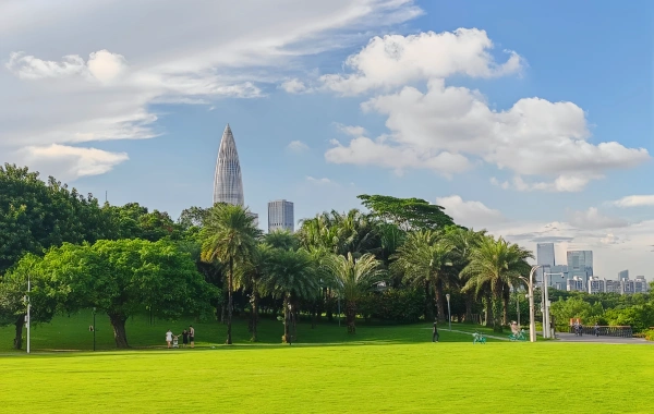 Day 1: Shenzhen Arrival