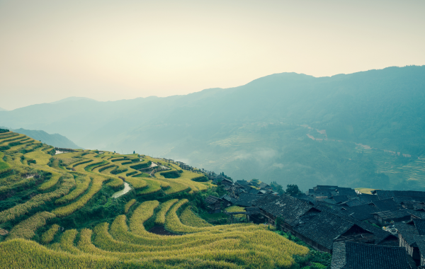 Day 1: Guiyang Arrival