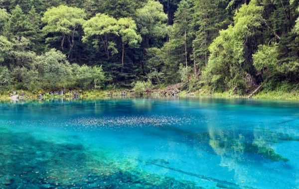 Day3 Jiuzhaigou Valley