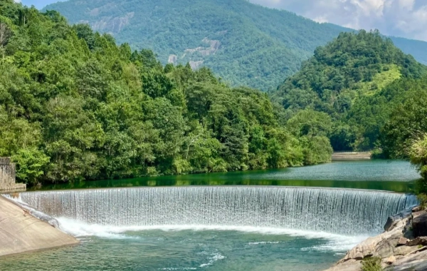 Day 4: Xiamen--Wuyi Mount